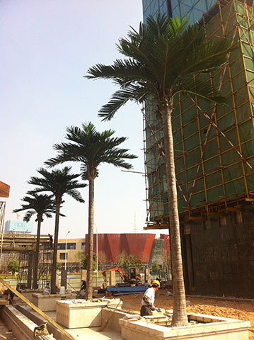 长沙-世茂铂锣湾-仿真椰子树工程