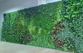 武汉仿真植物墙掀起绿色装饰新风潮——揭秘武汉仿真墙背后的优势