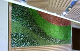 绿色环保墙面装饰新材料——仿真植物墙