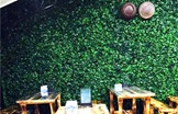 垂直绿化植物墙类别有哪些？那种最受欢迎？