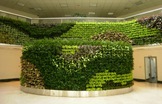 从中国古典园林空间美学谈仿真植物墙