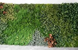 仿真植物墙在装修装饰业掀起了绿色装饰新风潮