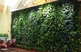 仿真植物墙——您心爱的空中花园
