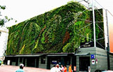 植物墙——城市清洁系统